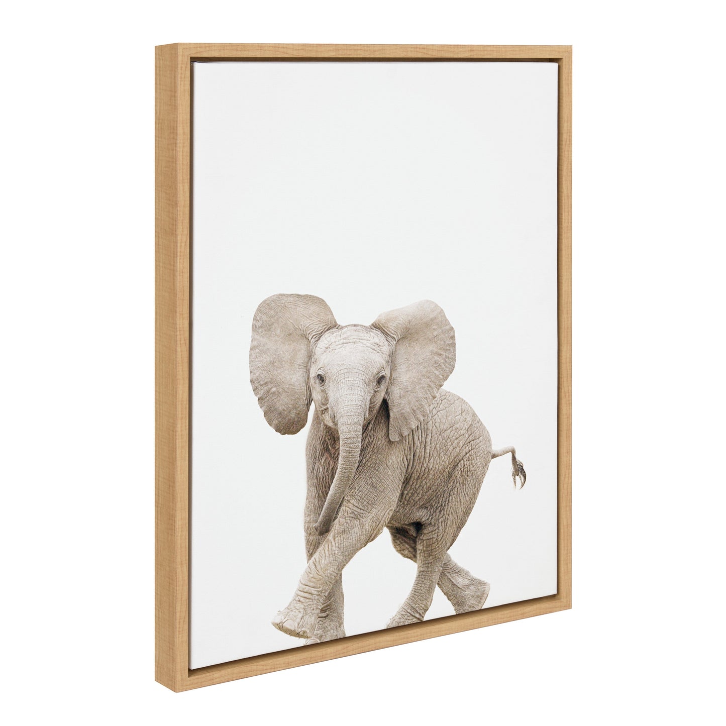Sylvie Baby Elephant Walk Framed Canvas by Amy Peterson Art Studio