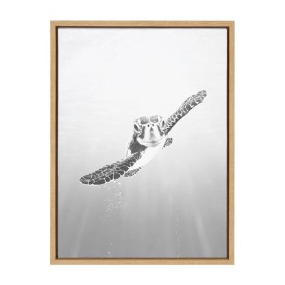 Sea turtle framed canvas wall art, coastal decor