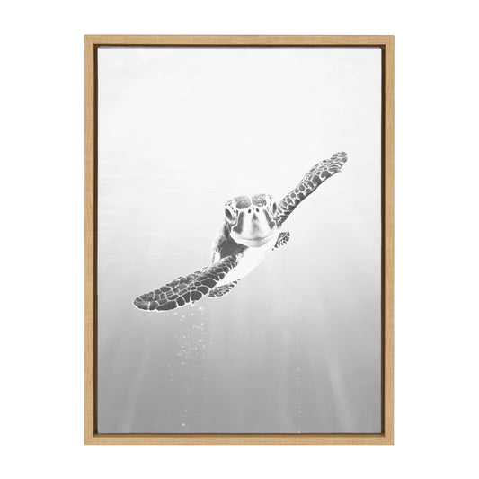 Sea turtle framed canvas wall art, coastal decor