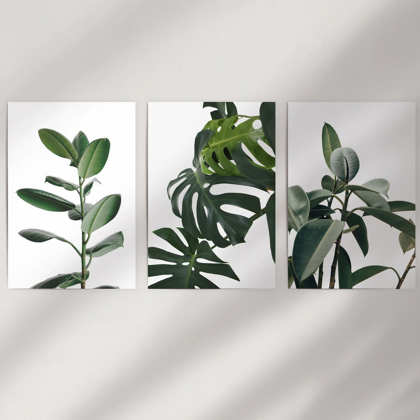 Tropical Botanical Wall Art Set of 3 Monstera Prints