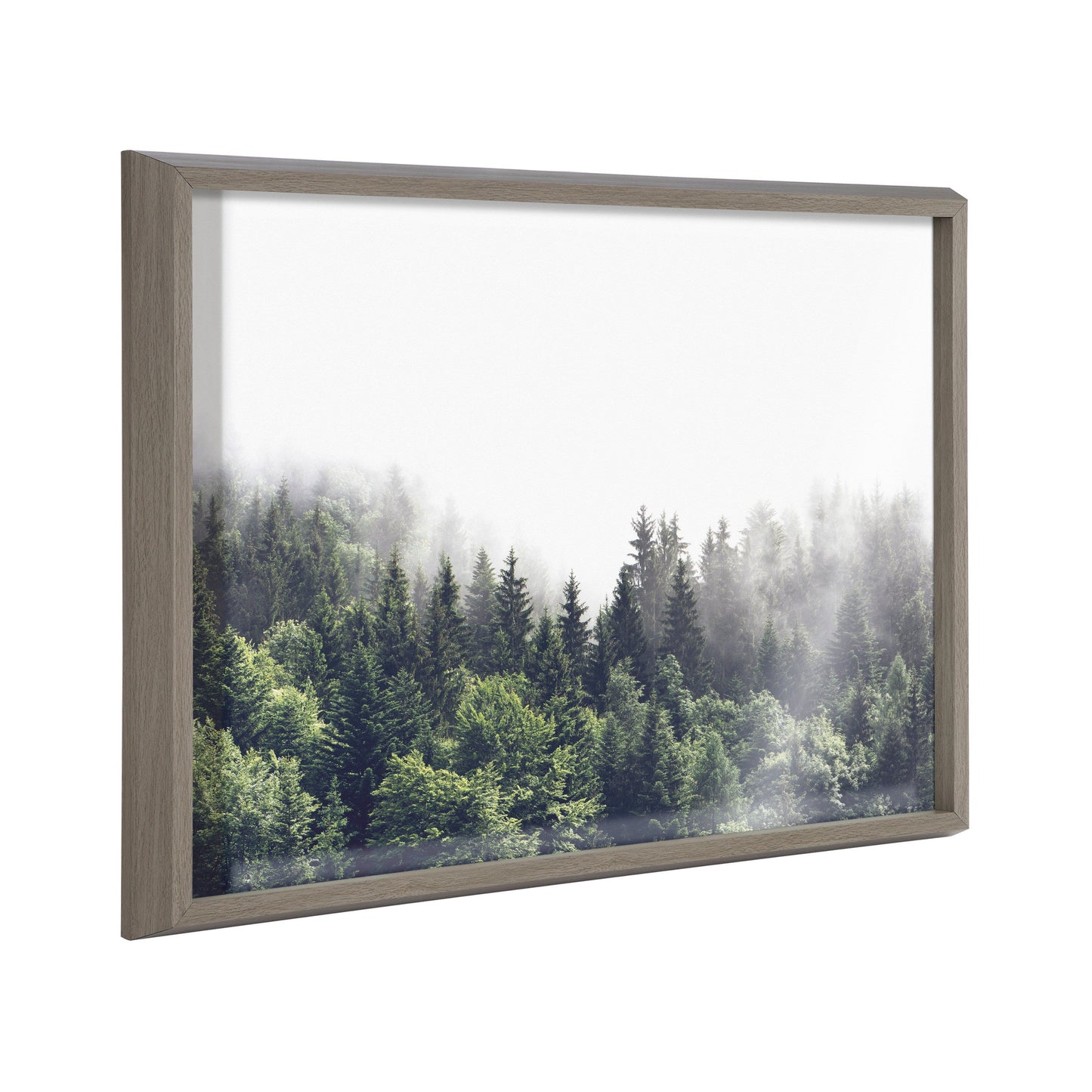 Lush Green Forest Foggy Day Framed Glass Wall Art