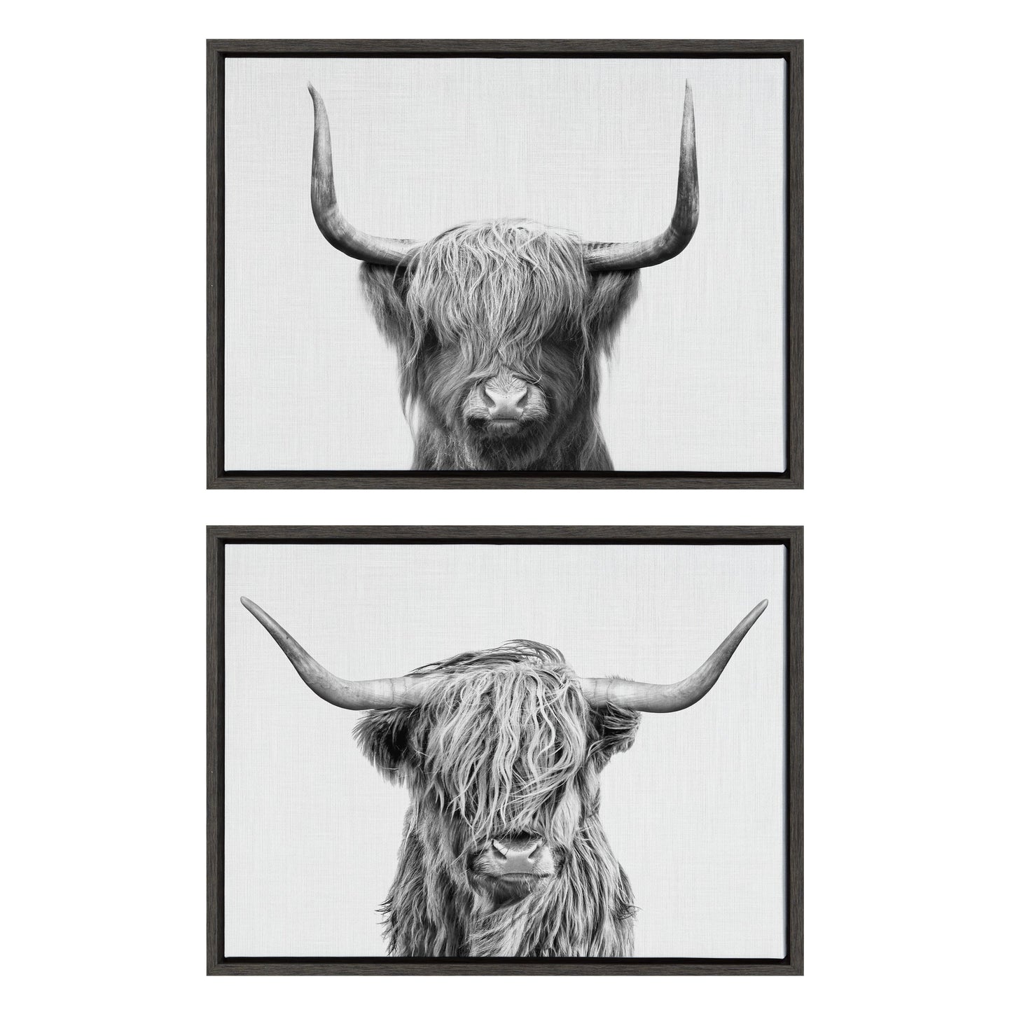 Highland Cow Duo 2 Piece Framed Canvas Art Set