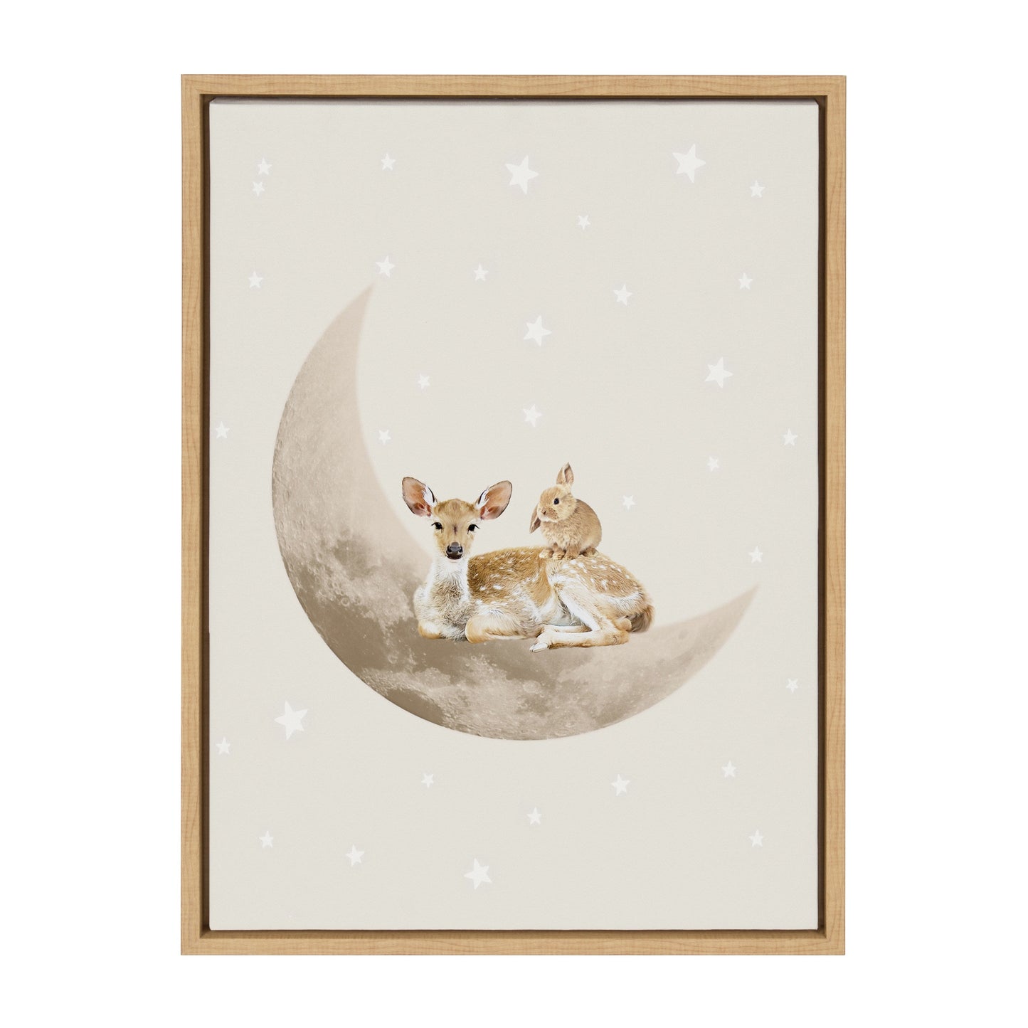 On the Moon Animals Canvas Wall Art