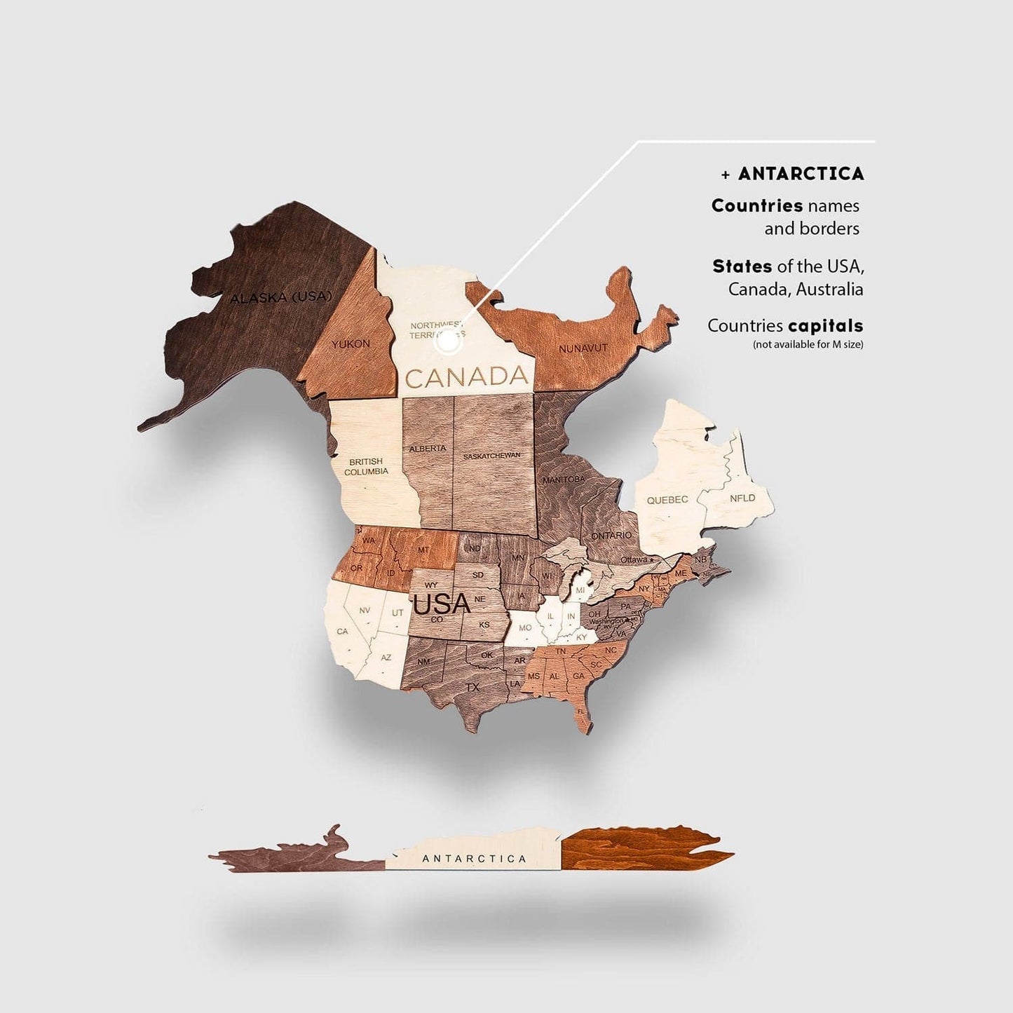 3D Wooden World Map Wall Art With Flag Pins