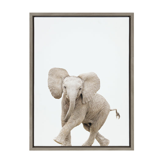 Sylvie Baby Elephant Walk Framed Canvas by Amy Peterson Art Studio