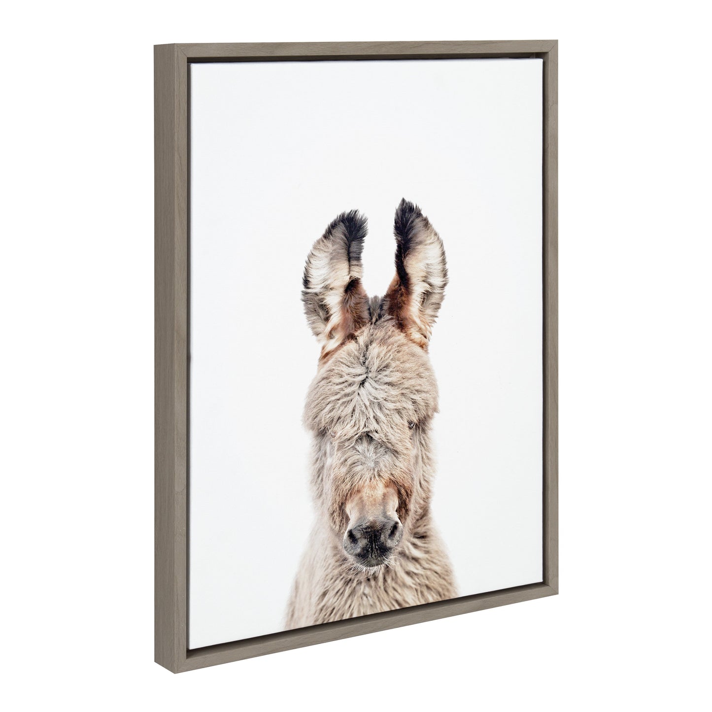 Framed canvas portrait of a soft-eared burro donkey for farmhouse wall decor