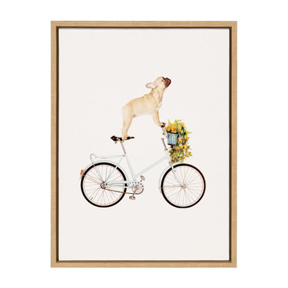 Playful French Bulldog riding a bicycle, framed canvas wall art, easy to hang
