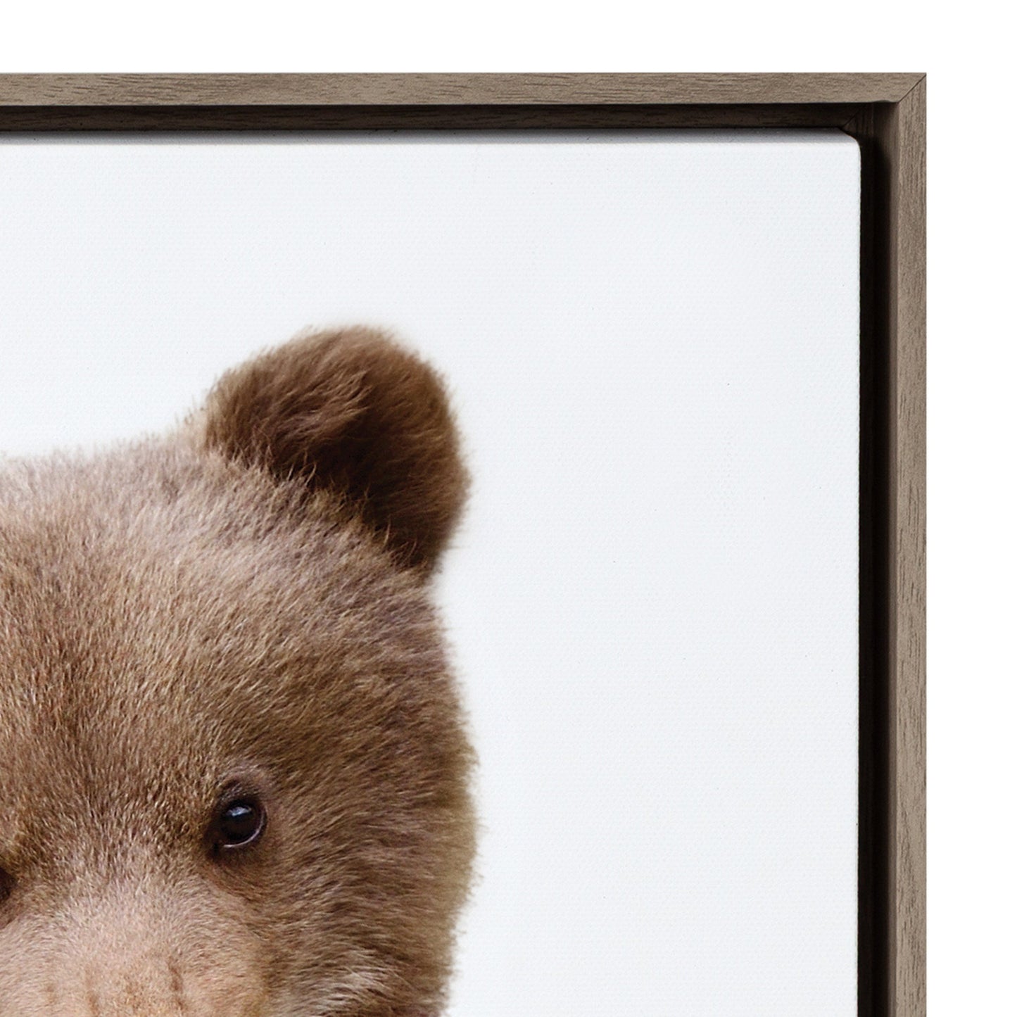 Woodland Animals Framed Canvas Wall Art, Nursery Decor