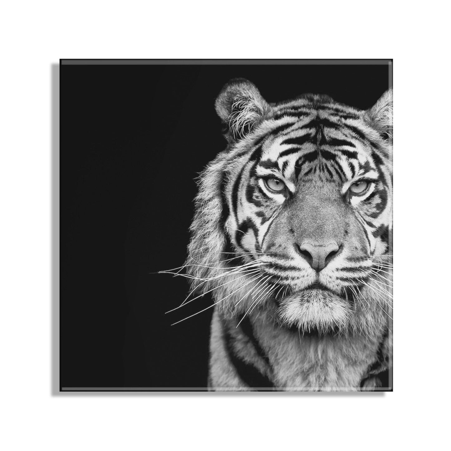 Minimalist Tiger Acrylic Wall Art