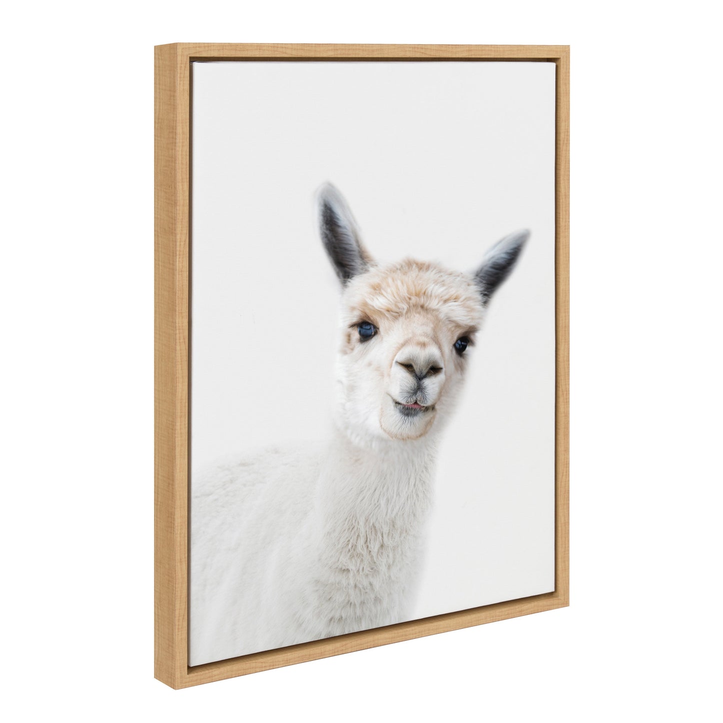 Alpaca Portrait Framed Canvas Wall Art, Nursery Decor