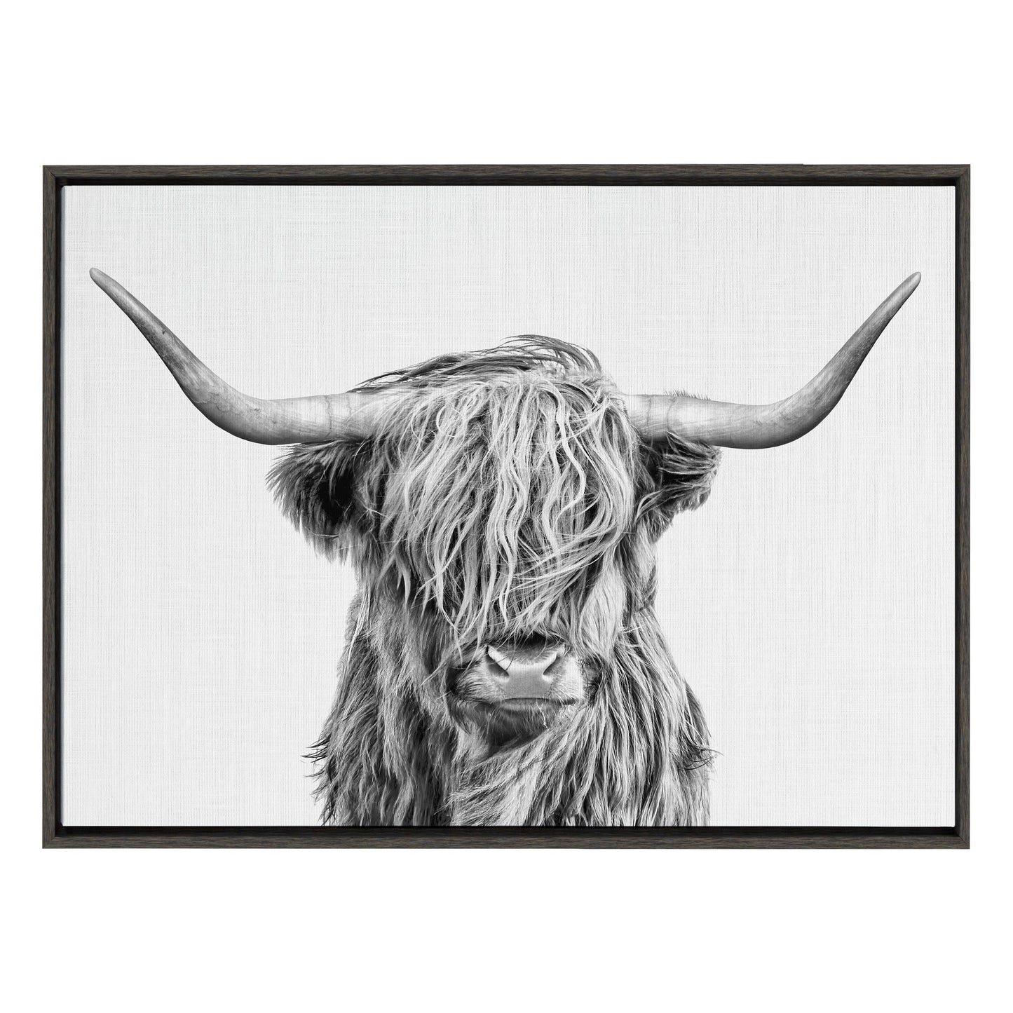 Highland Cow Framed Canvas Wall Art