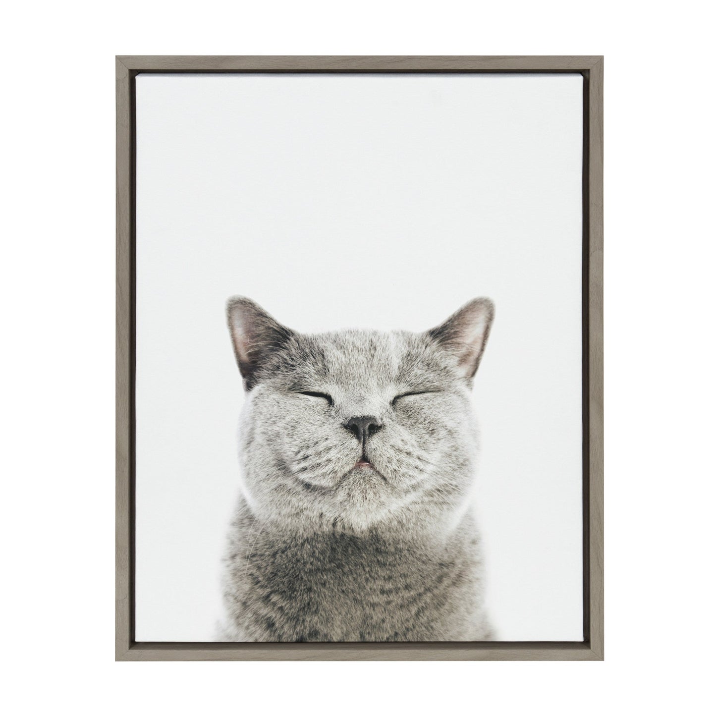 Smiling cat framed canvas wall art