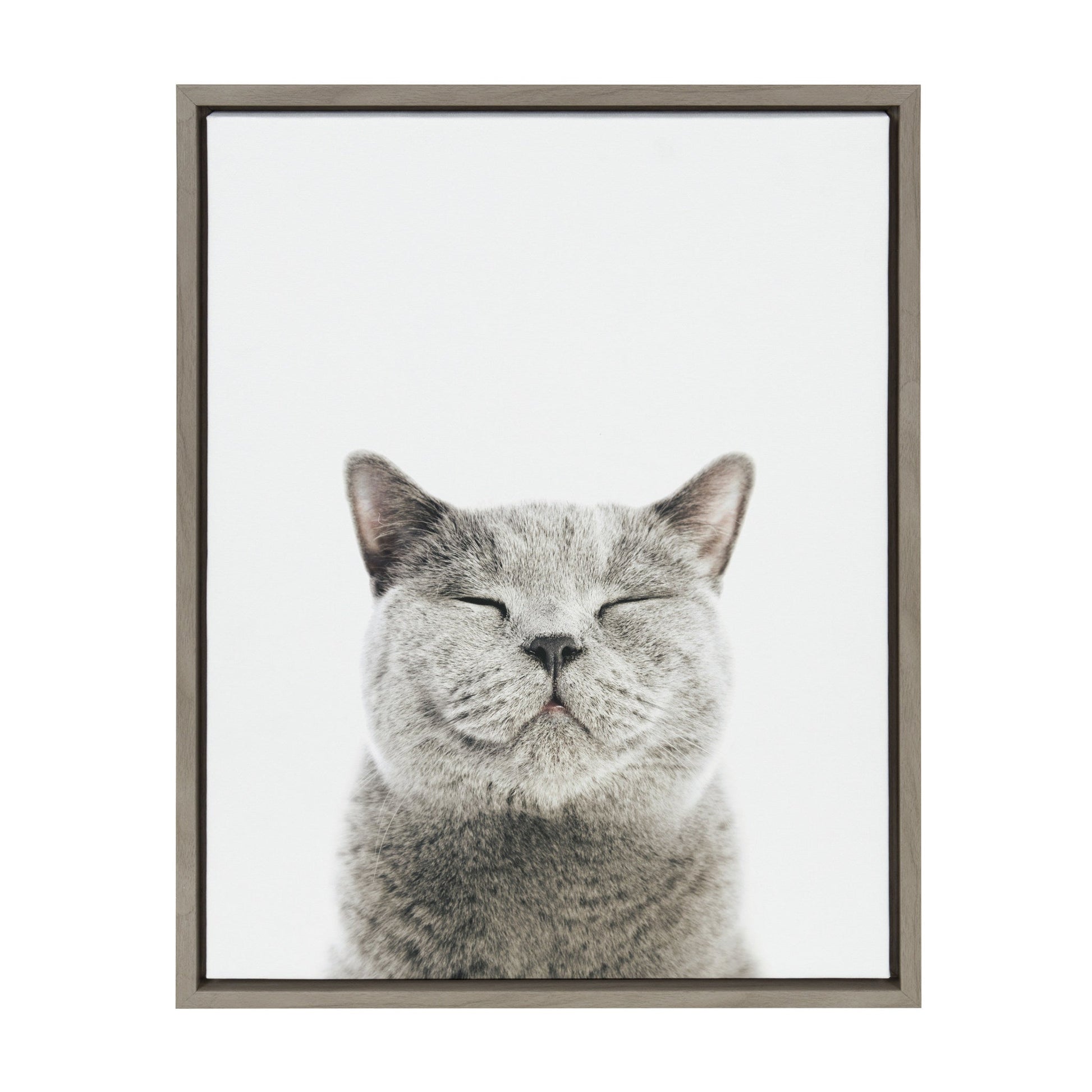 Smiling cat framed canvas wall art