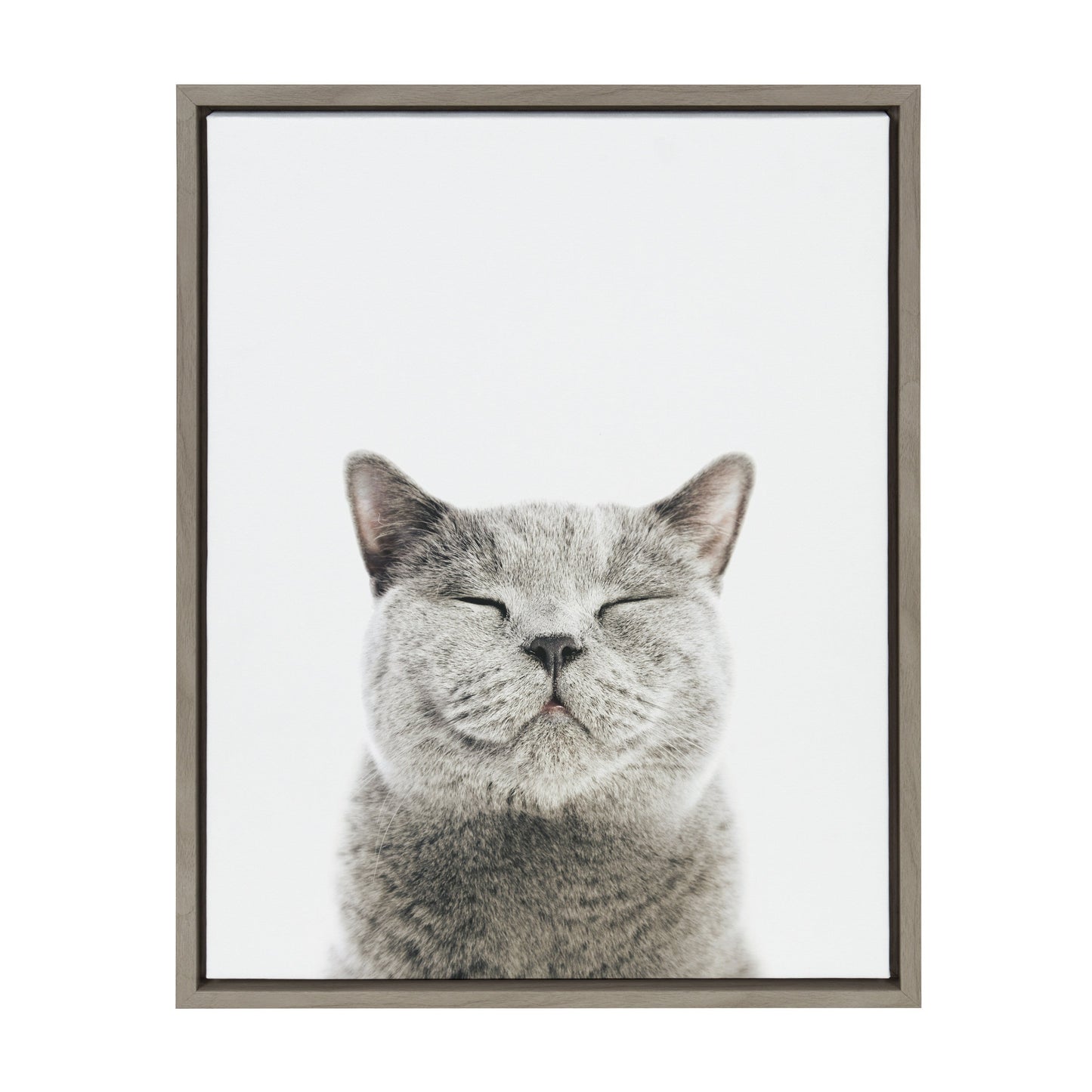 Smiling Cat Framed Canvas Wall Art