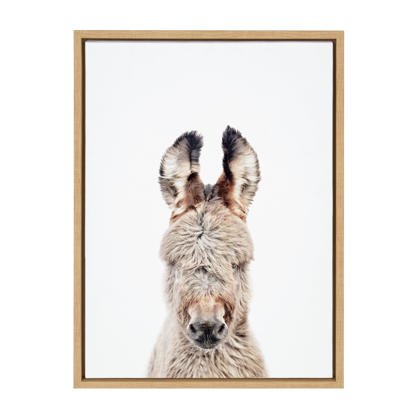 Donkey Portrait Framed Canvas Wall Art, Farmhouse Decor