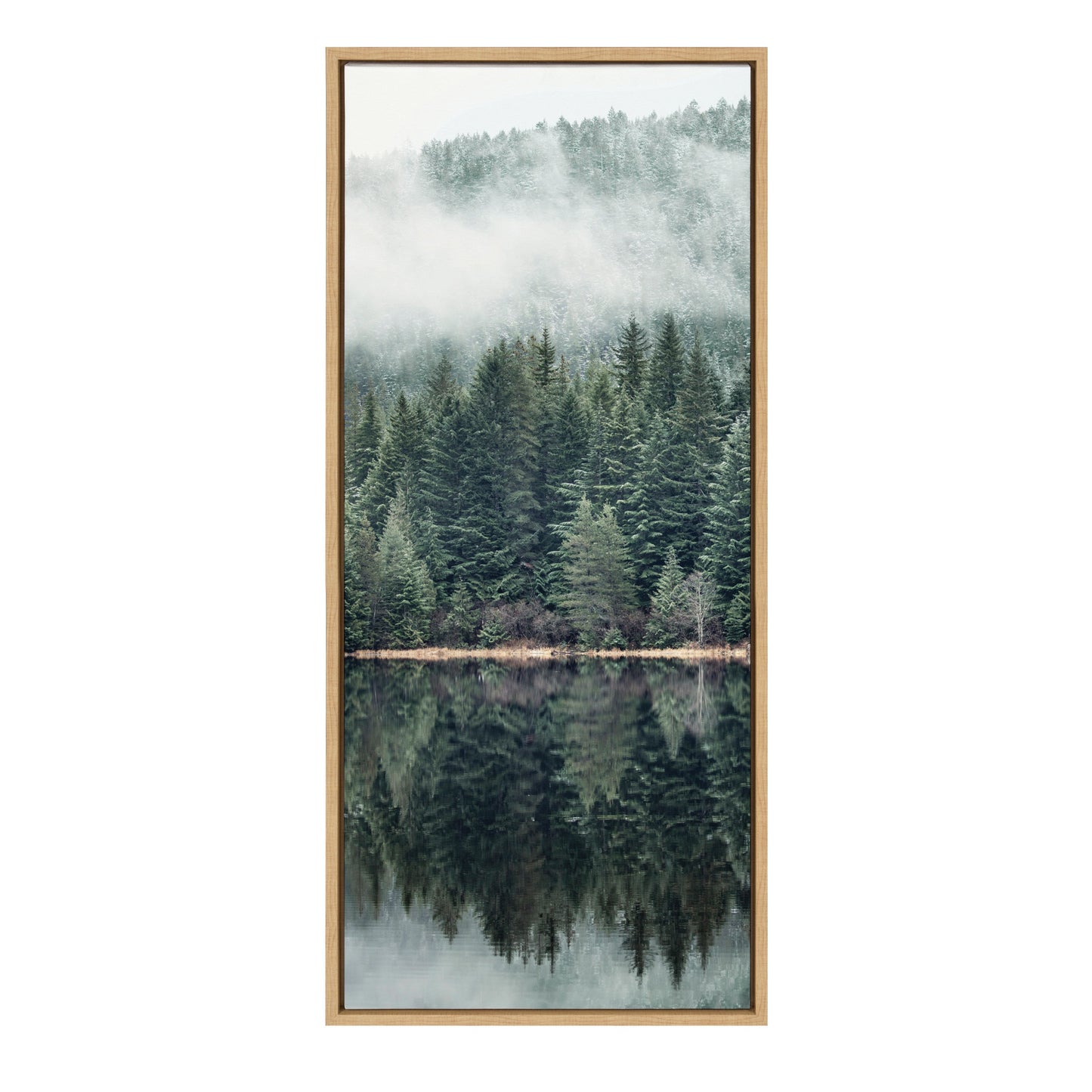 Misty Forest Framed Canvas Wall Art