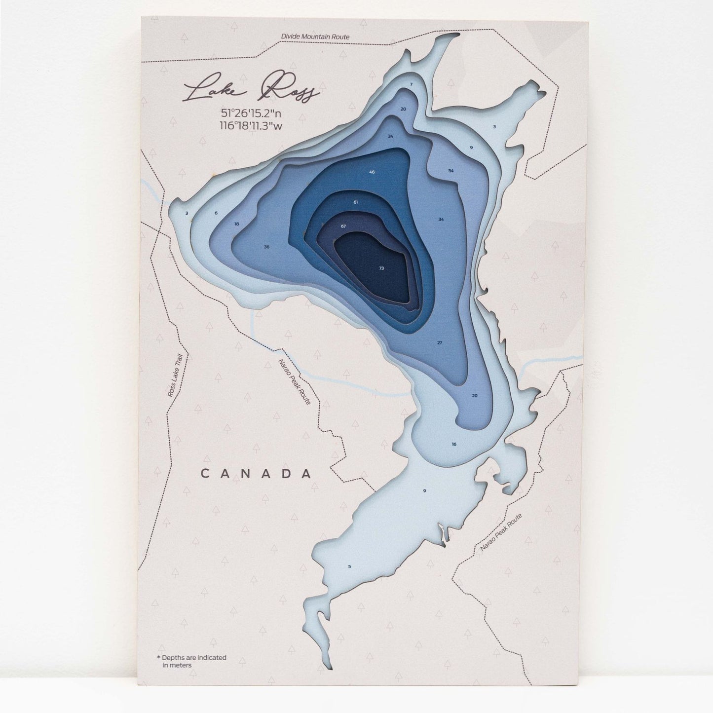 Wooden Lake Ross Map Wall Art