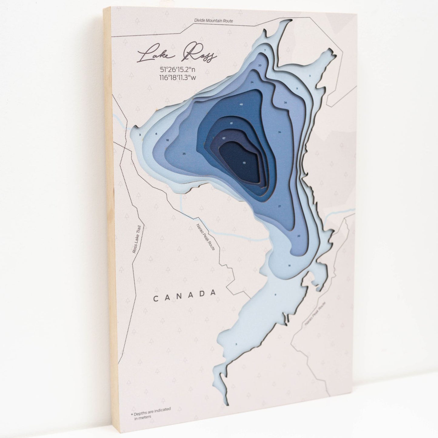 Wooden Lake Ross Map Wall Art