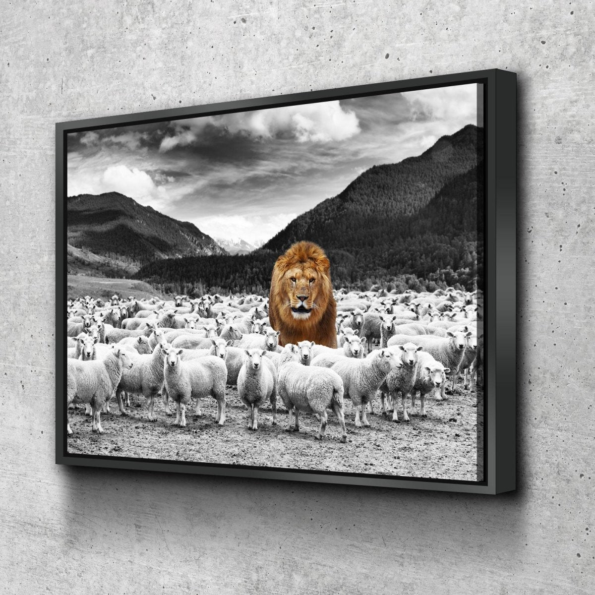 Lion Among The Sheep Motivational Canvas Wall Art