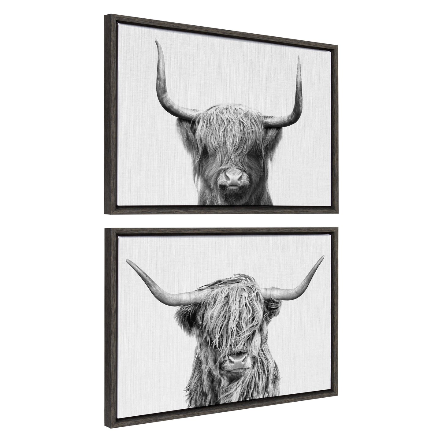 Highland cow duo 2 piece framed canvas art set