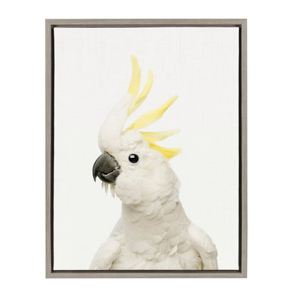 Bird Portrait framed canvas wall art with painterly character