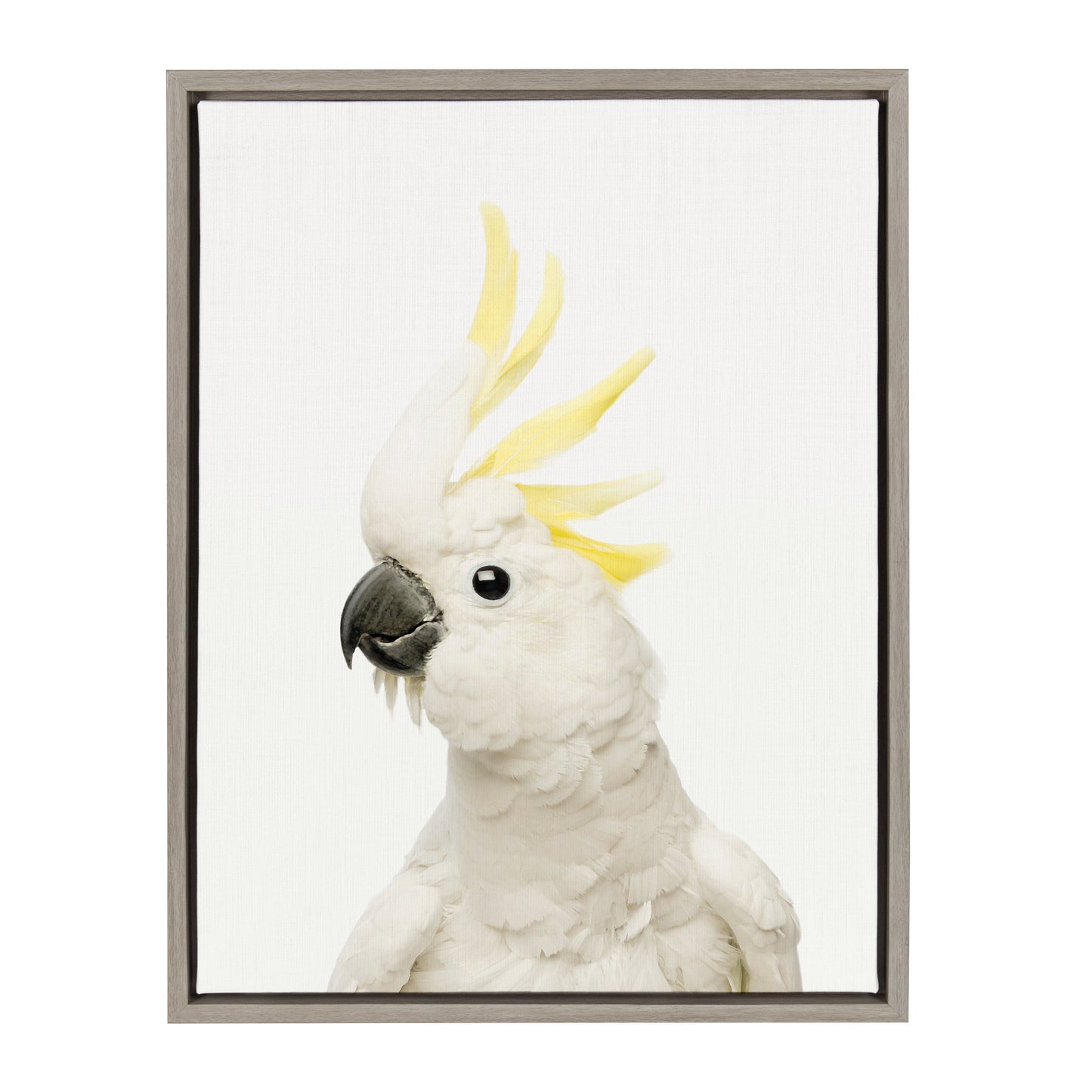 Bird Portrait Framed Canvas Wall Art