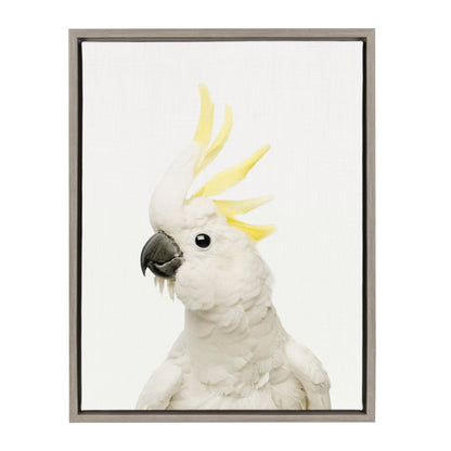 Bird Portrait Framed Canvas Wall Art