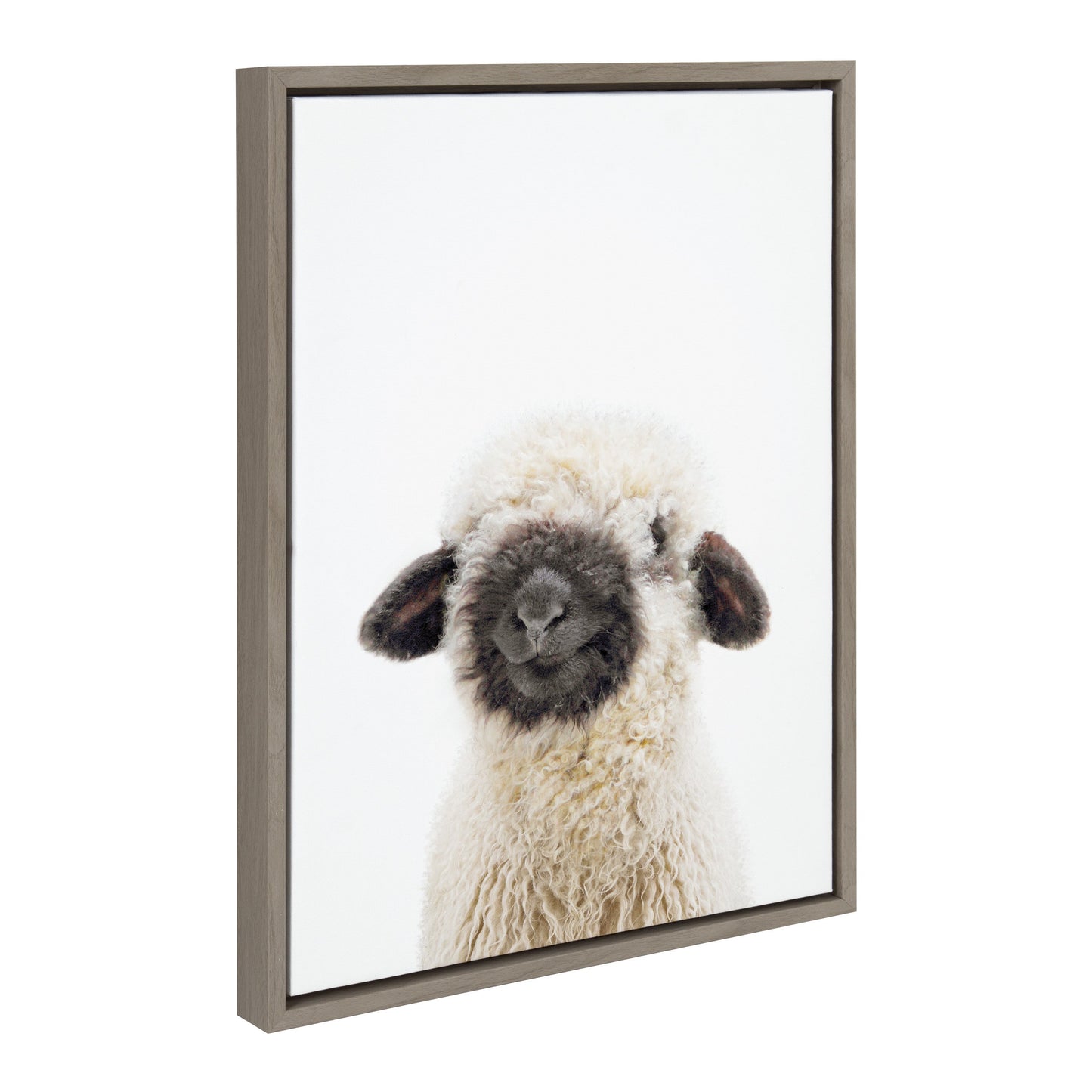 Framed canvas portrait of a black-nosed sheep for farmhouse and rustic wall decor