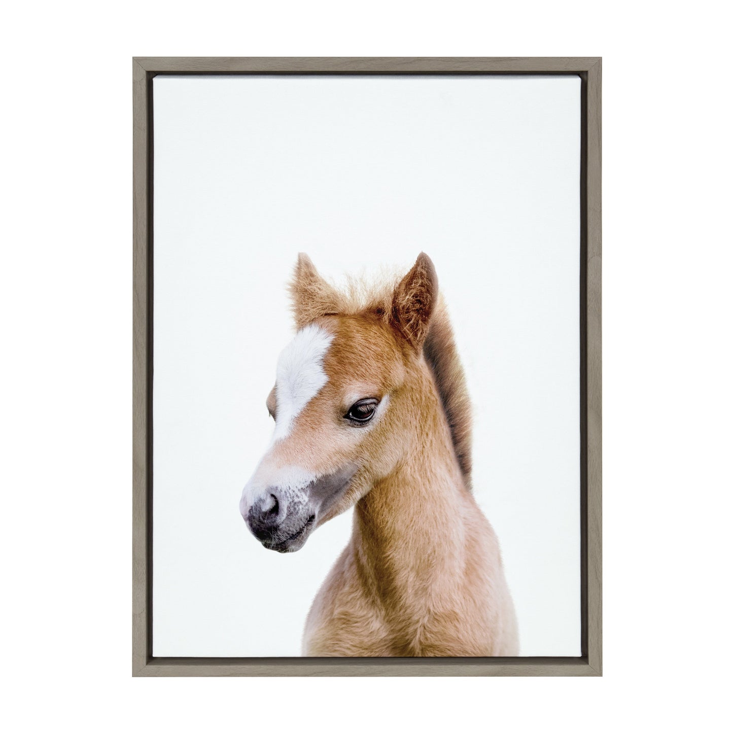 Baby Horse Foal Framed Canvas Wall Art, Nursery Decor