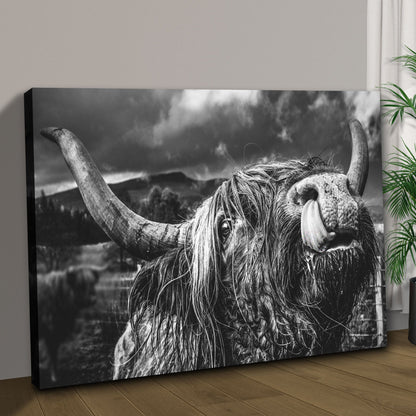 Black and white highland cow canvas leaning on a wood floor, seen at an angle
