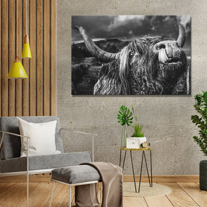 Highland Cow Licking Nose canvas shown in a styled room setting, view 3