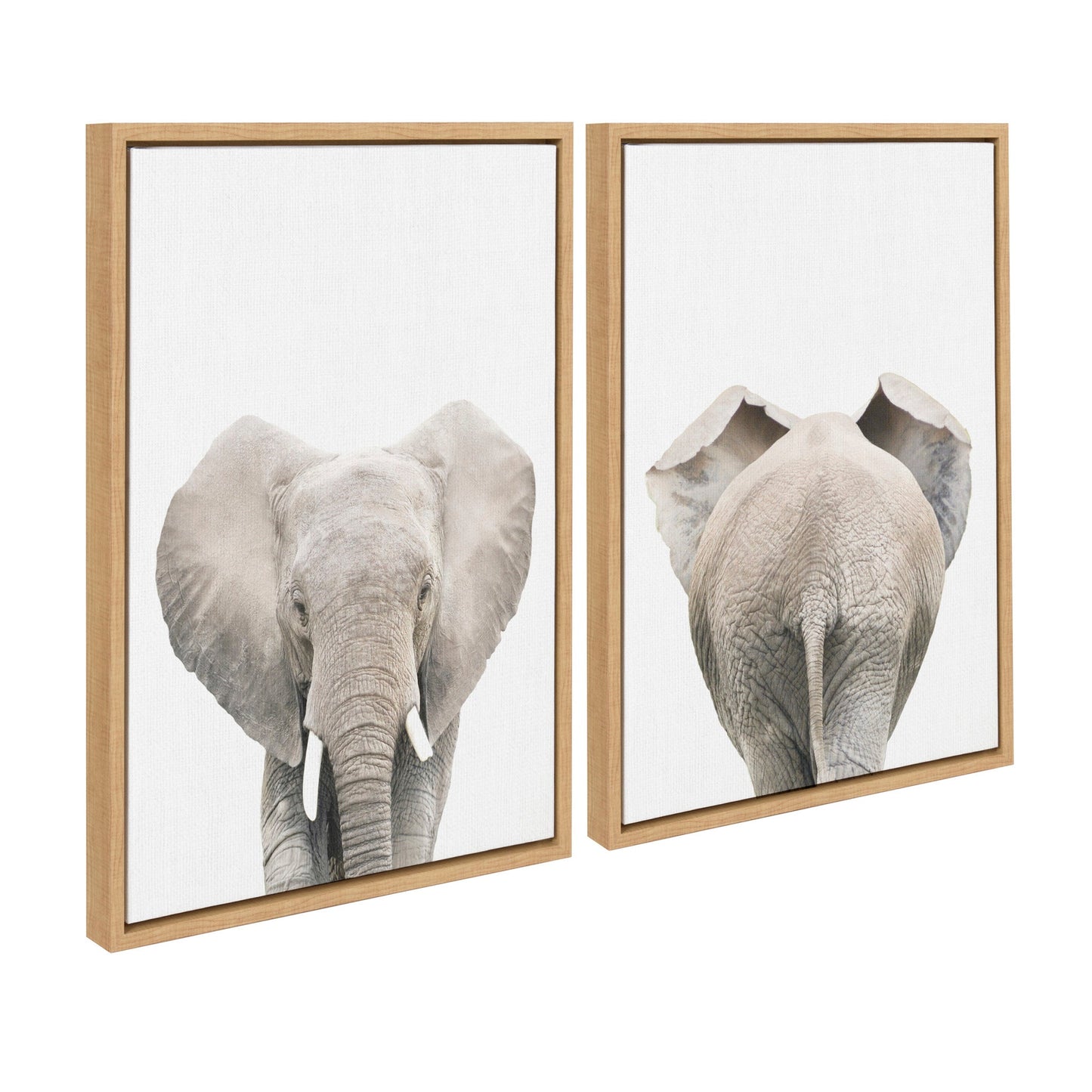 Elephant Front and Back Framed Canvas Art Set