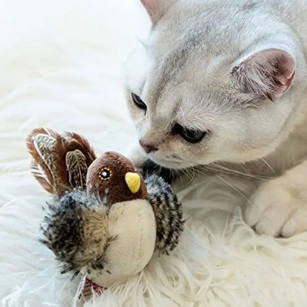 Flappy Feather Friend - The Ultimate Cat Entertainment Bird Toy