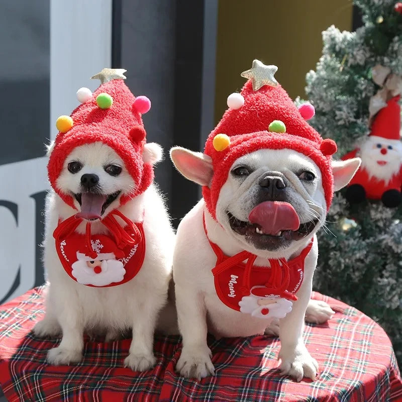 Christmas Pet Hat & Bib: Instantly Festive Photos