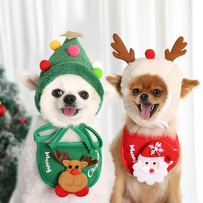 Christmas Pet Hat & Bib: Instantly Festive Photos