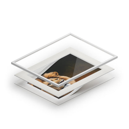 Majestic Lion Framed Fine Art Print