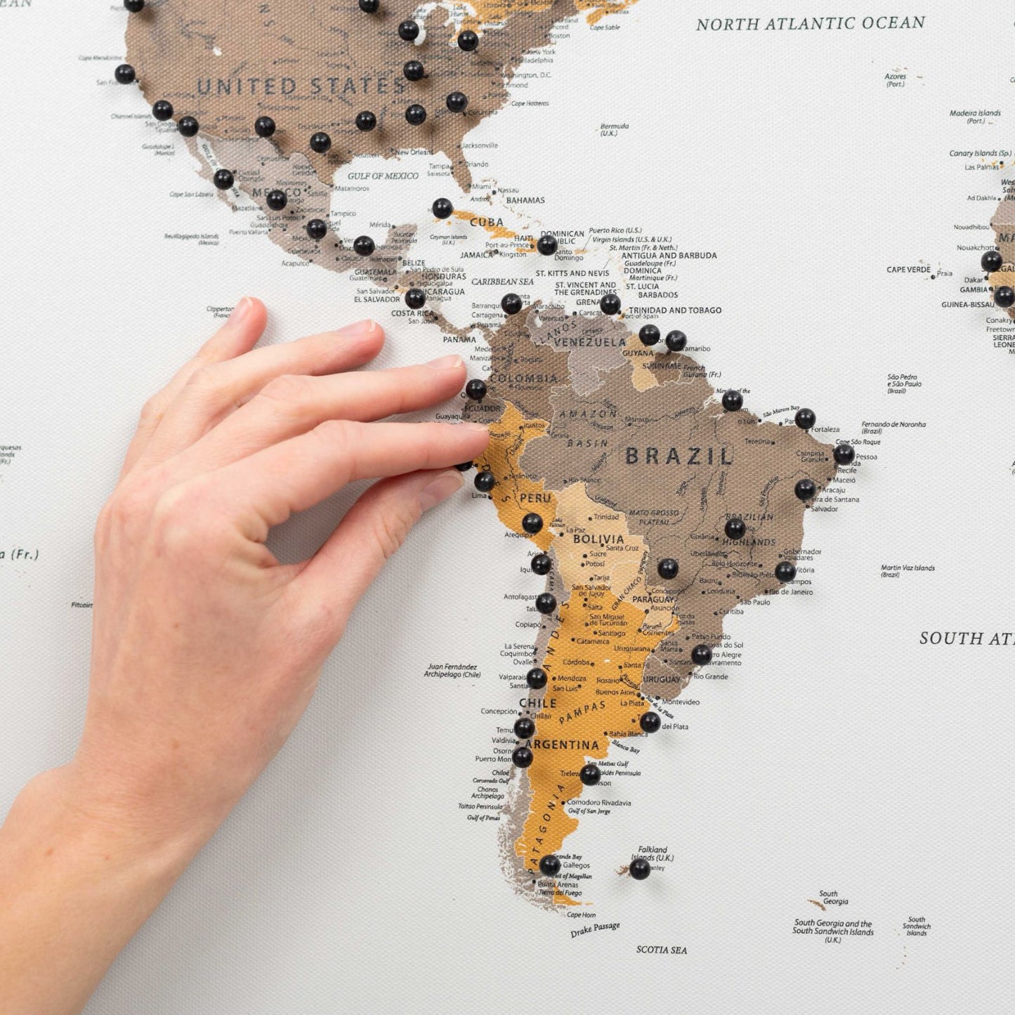 Desert World Map Canvas Wall Art