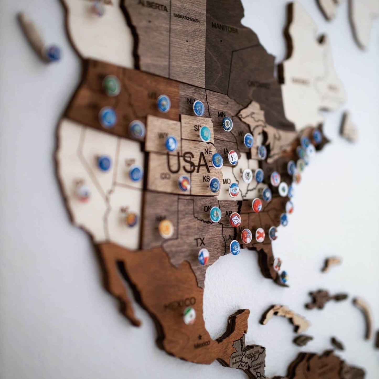 3D Wooden World Map Wall Art With Flag Pins