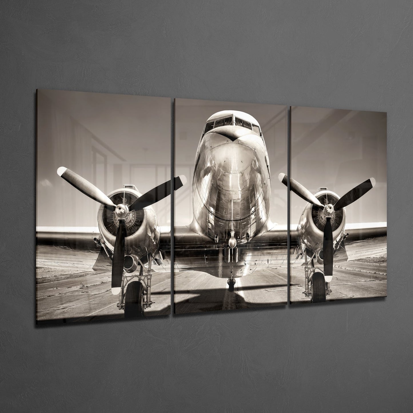 Airplane Glass Wall Art