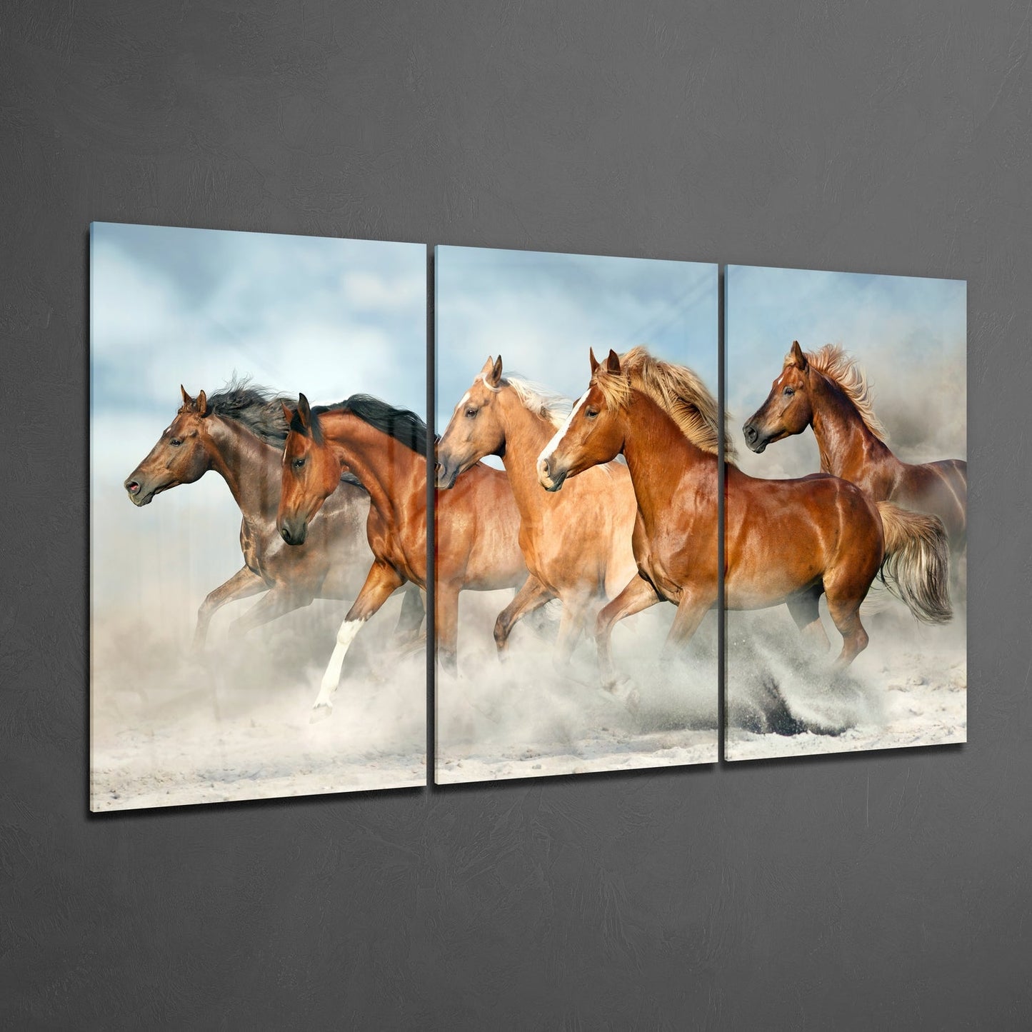 Horses Glass Wall Art