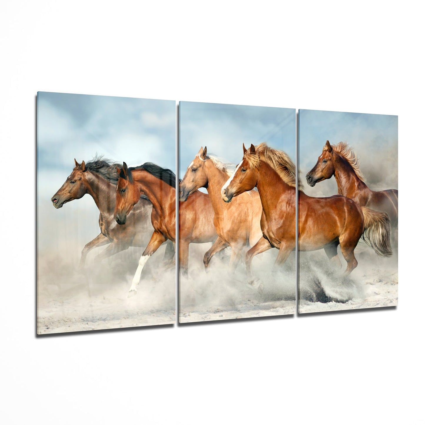 Horses Glass Wall Art