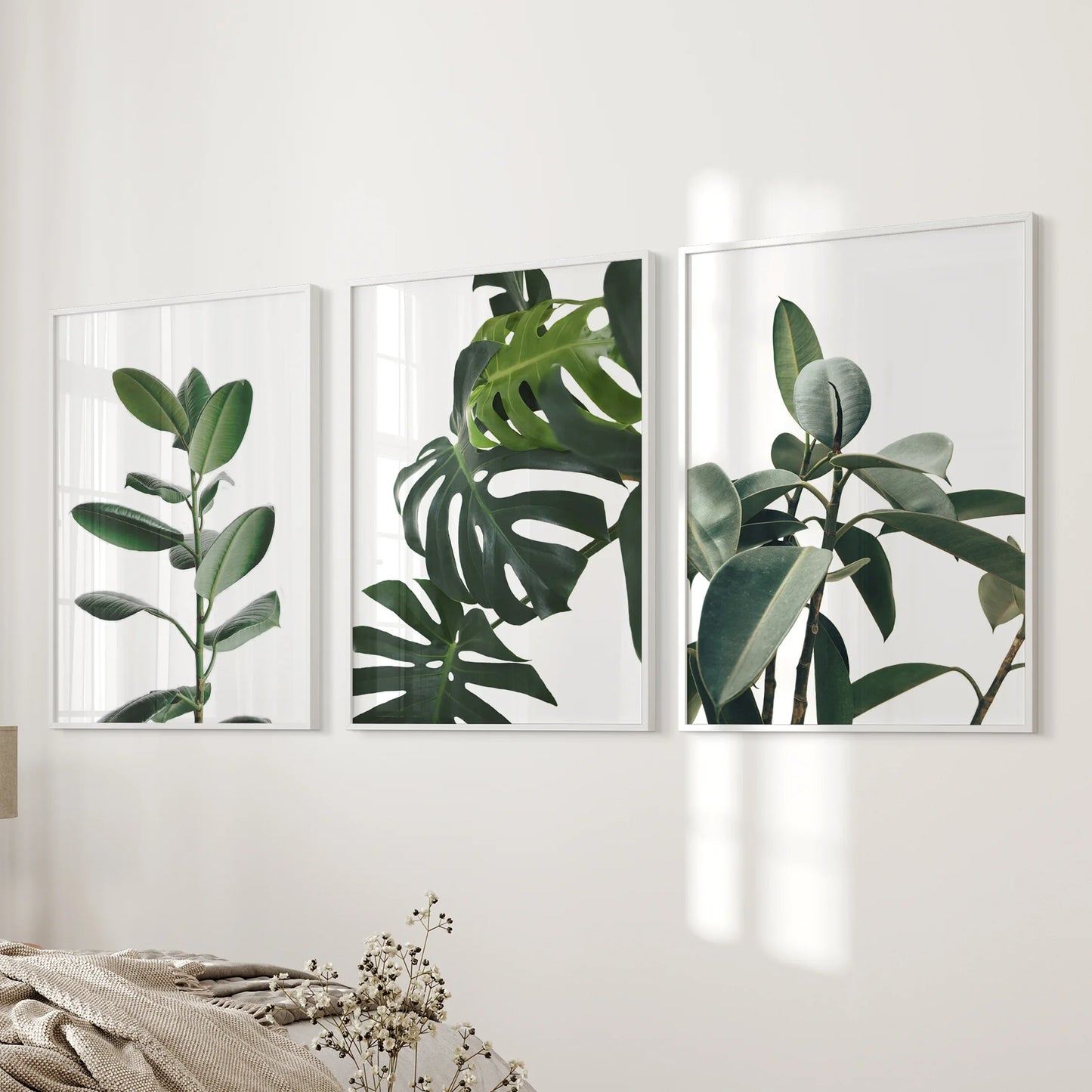 Tropical Botanical Wall Art Set of 3 Monstera Prints