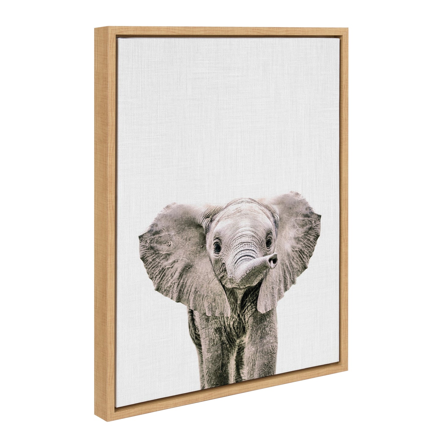 Baby elephant in color framed canvas wall art for a nursery