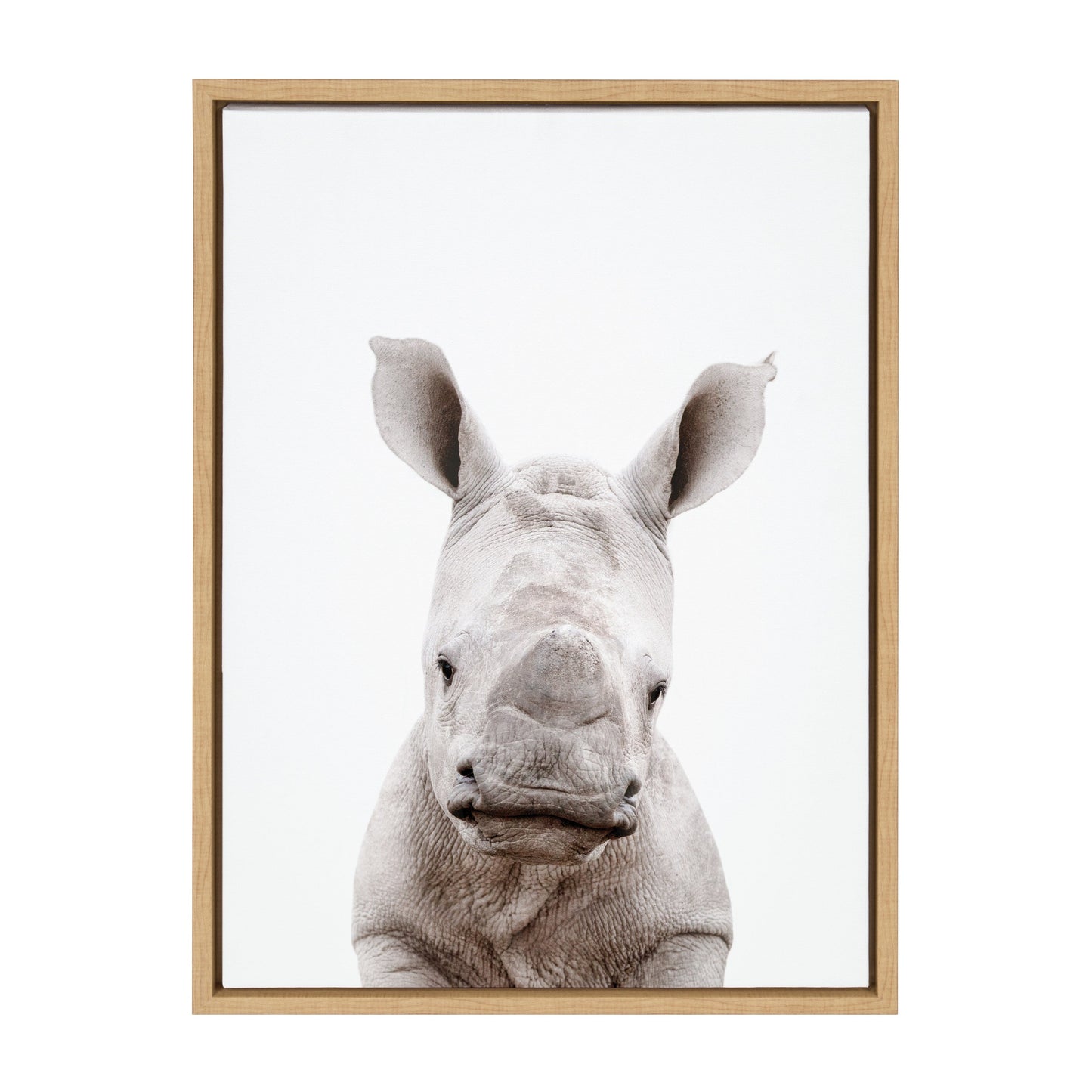 Sylvie Animal Studio Baby Rhino Framed Canvas by Amy Peterson Art Studio