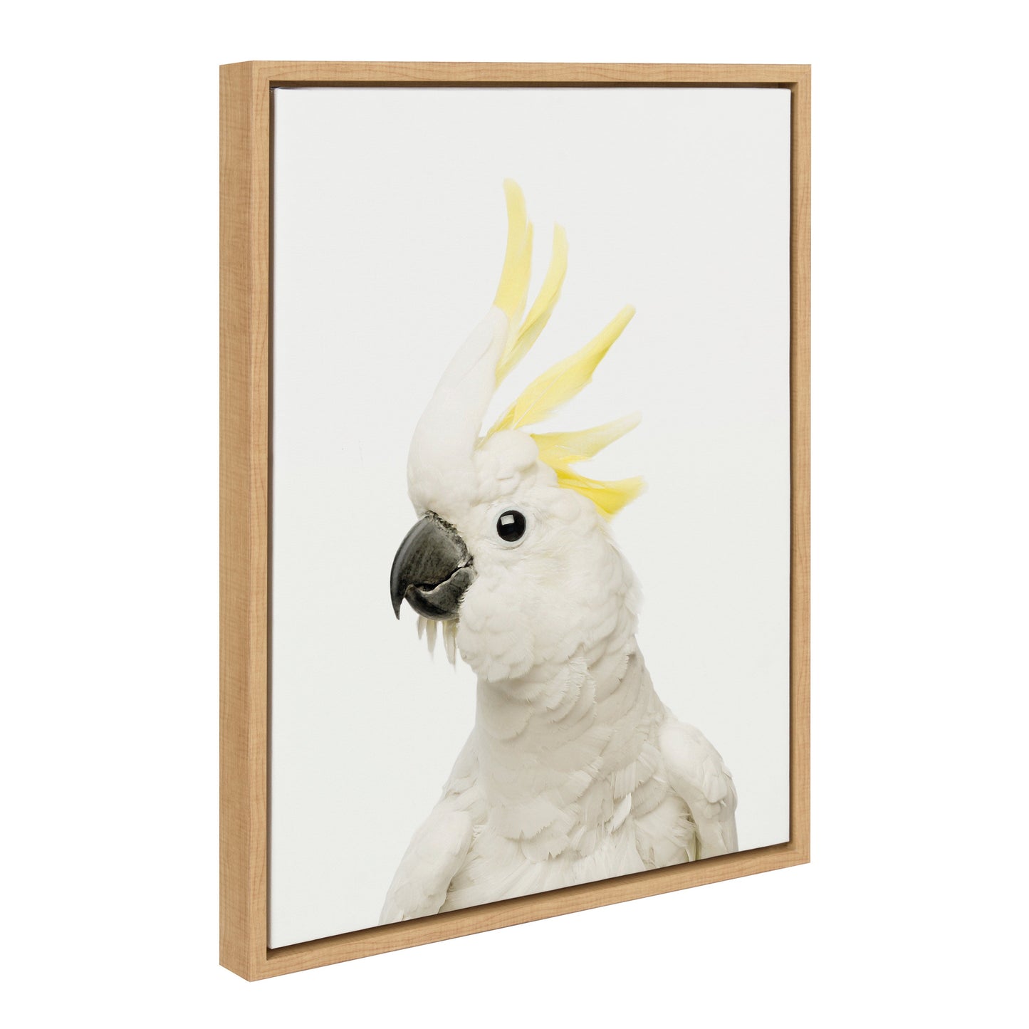 Bird Portrait Framed Canvas Wall Art
