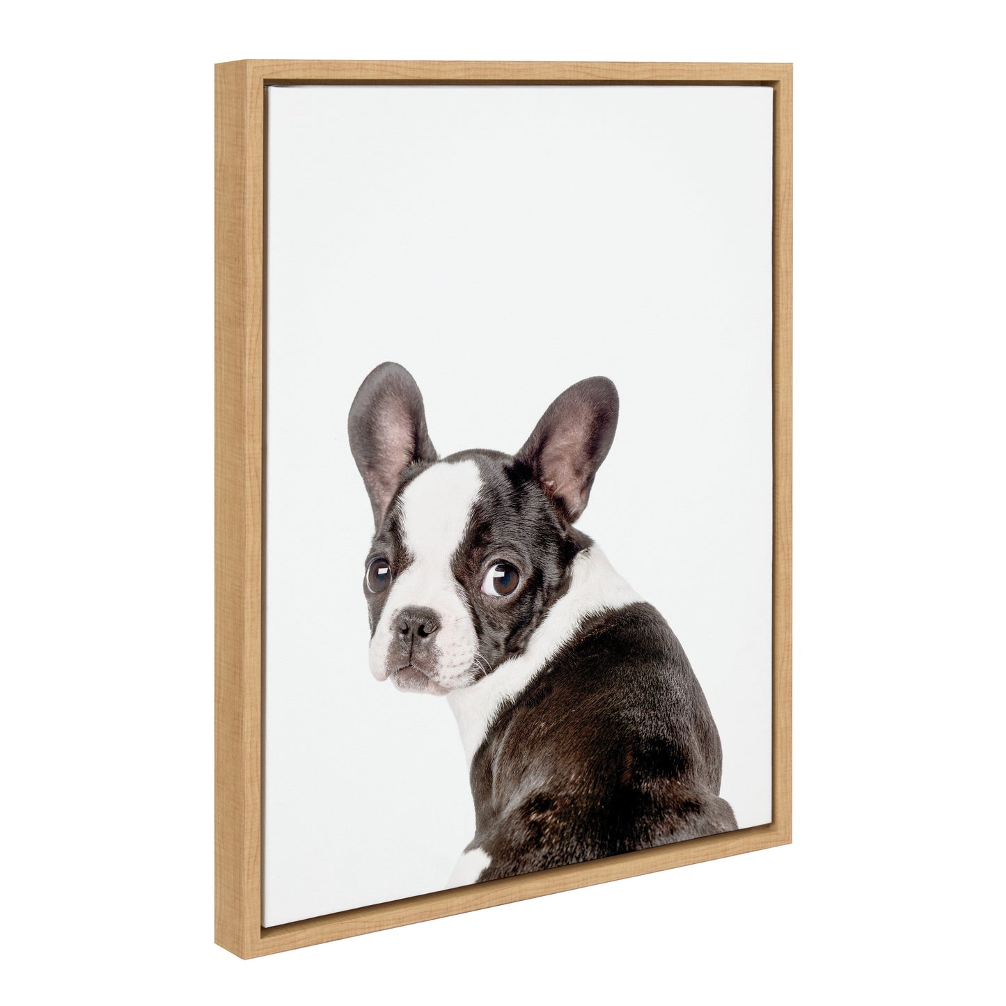 French Bulldog Framed Canvas Wall Art