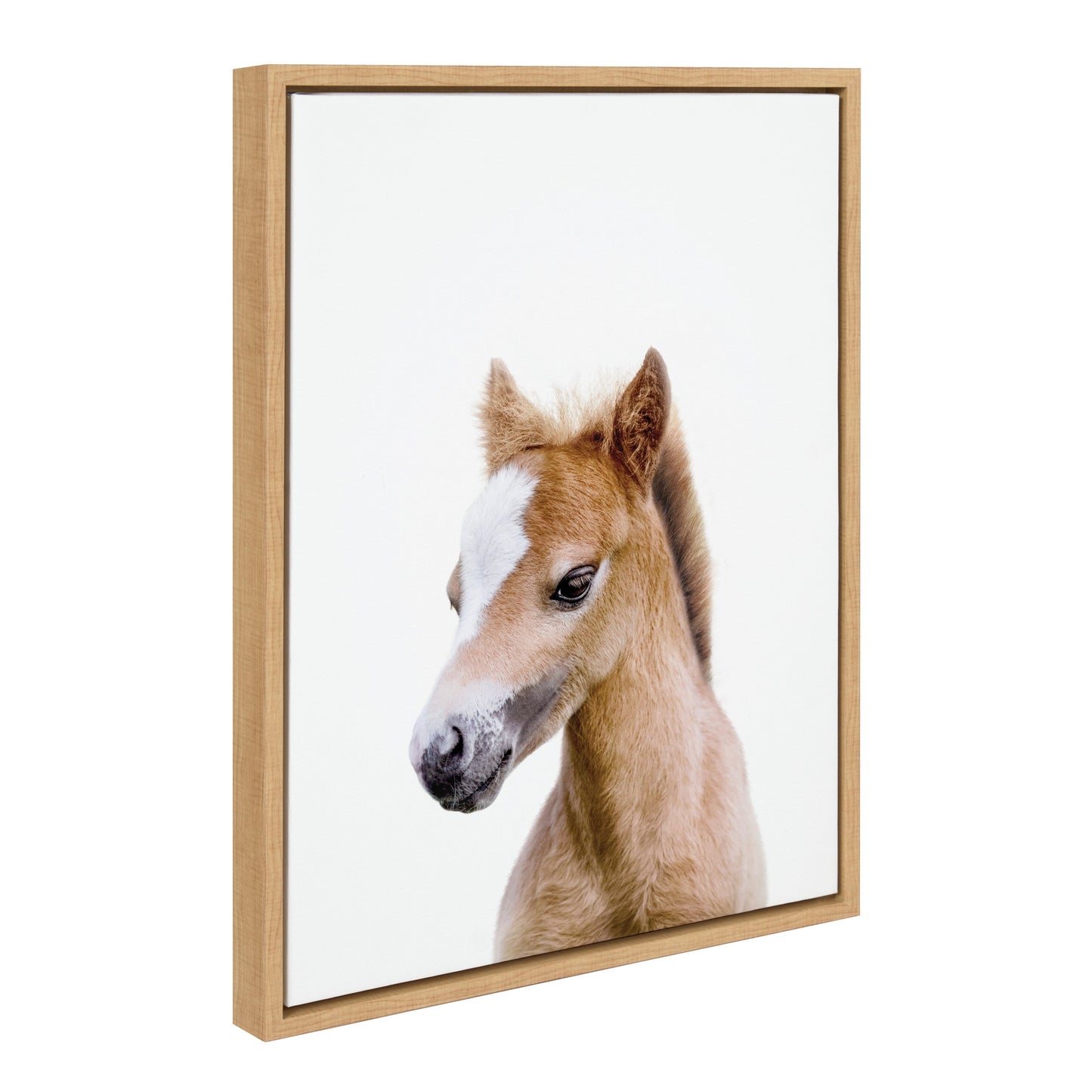 Baby Horse Foal Framed Canvas Wall Art, Nursery Decor