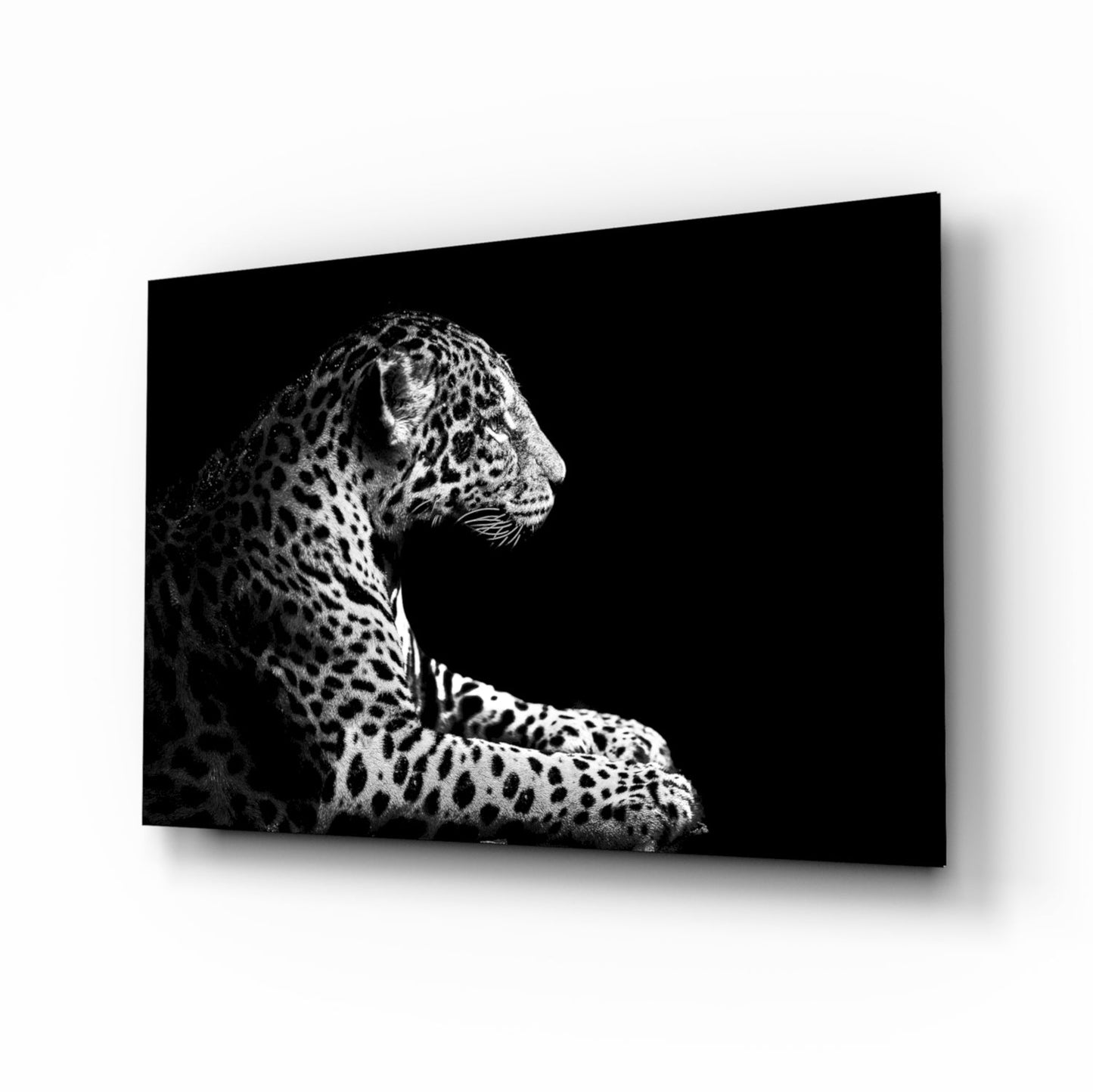 Leopard side profile black and white glass wall art