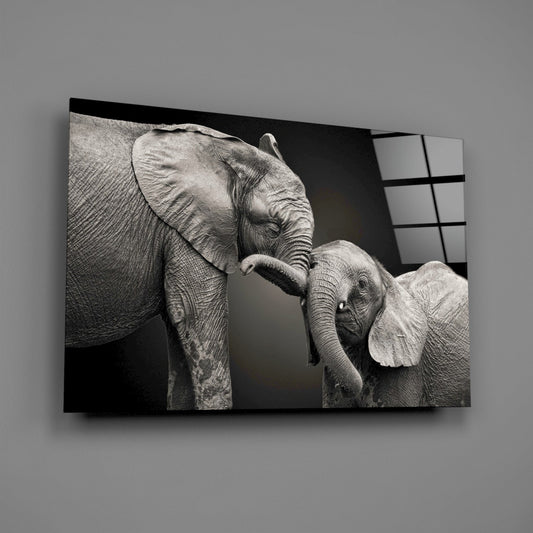 Two Elephants Nuzzling Glass Wall Art
