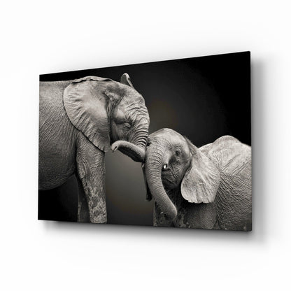 Two elephants nuzzling glass wall art black and white affection tempered glass